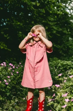 DAMES Labo de Colores Jurken & Salopettes | Jurken^Dress Lucia | Pink mulberry |