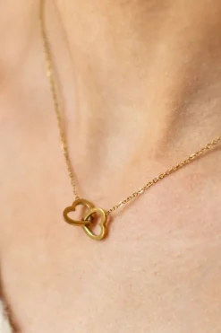 DAMES WAUW Fashion Sieraden | Snøpskes^Ketting double hearts | Goud | Studio Poespas