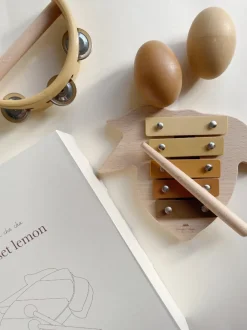 Konges Slojd Houten Speelgoed | Educatief Speelgoed^Muziekset Lemon |