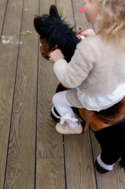 Poespas Knuffels^PonyCycle Muck