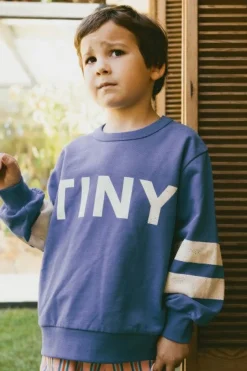 Tinycottons Truien & Vesten | Truien & Vesten^Stripes logo sweatshirt | Ultramarine |
