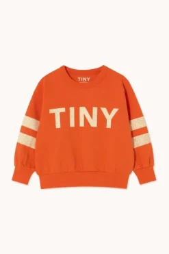 Tinycottons Truien & Vesten | Truien & Vesten^Stripes logo sweatshirt | Summer red |